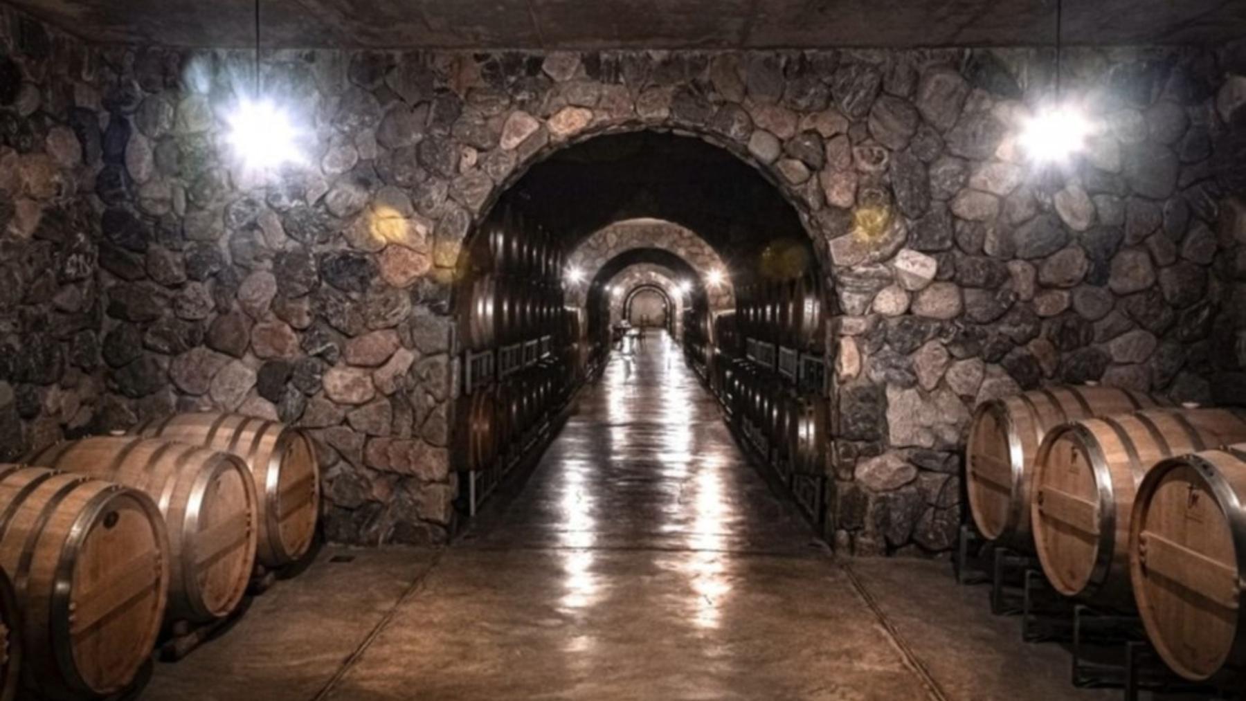 Vino, turismo y algo mas.